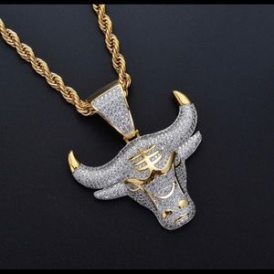 Iced out bull pendant and chain